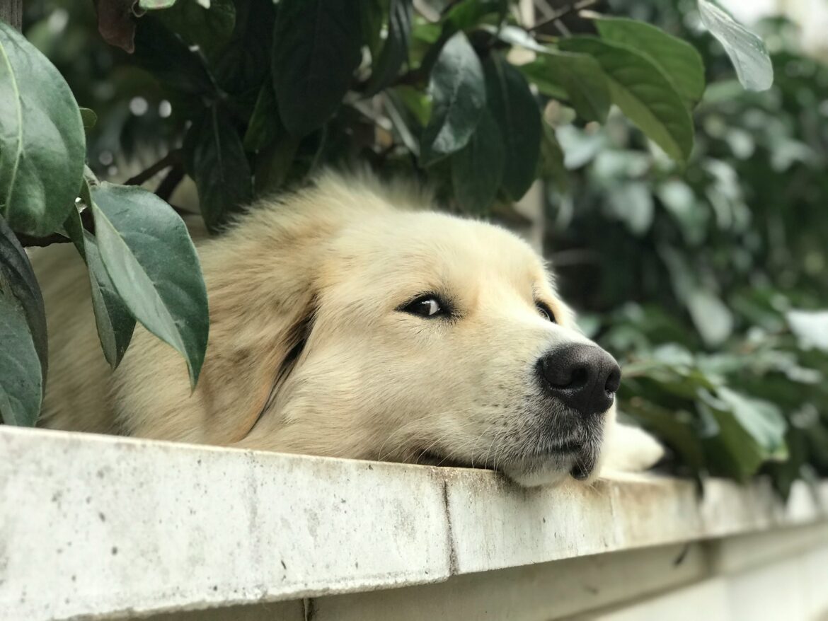 Yashar bazli hbyzrdeklle unsplash